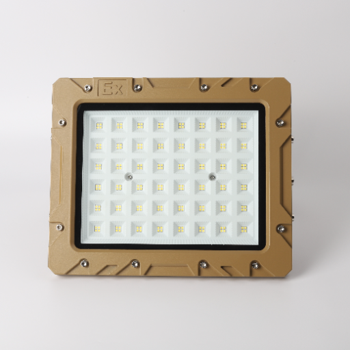 Explosion Proof LED Light 1
