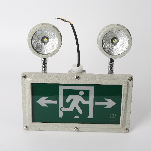 Explosion Proof LED Light 3