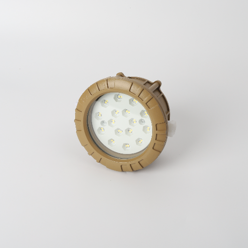 Explosion Proof LED Light 6