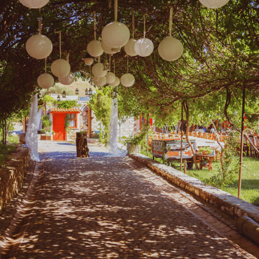 Event themed venue Palm Tree Light