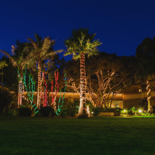 Resort landscape Palm Tree Light