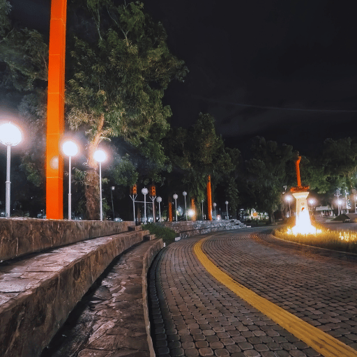 Pathway and Parking Light