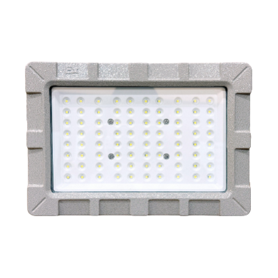 Explosion-Proof LED Light
